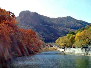 新澳天天开奖资料大全旅游团，中式快餐店排名